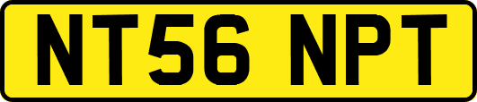 NT56NPT