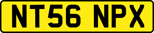 NT56NPX