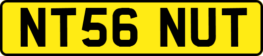 NT56NUT
