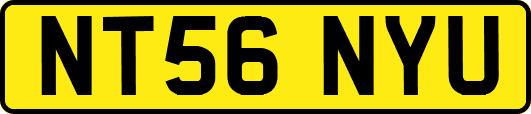 NT56NYU