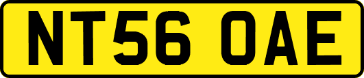NT56OAE