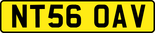 NT56OAV