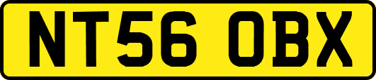 NT56OBX