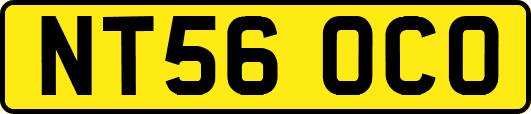 NT56OCO