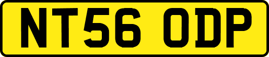 NT56ODP