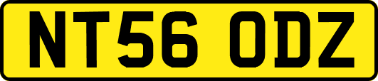 NT56ODZ