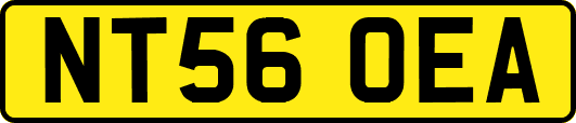 NT56OEA