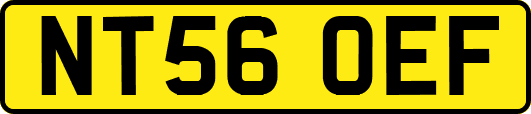 NT56OEF