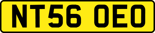 NT56OEO