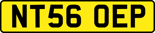 NT56OEP