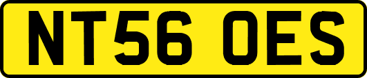 NT56OES