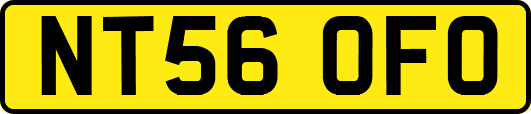 NT56OFO