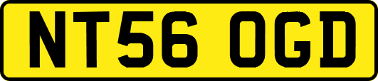 NT56OGD