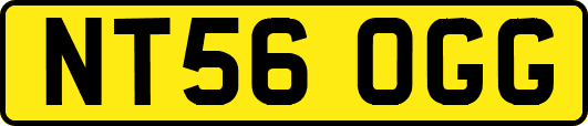 NT56OGG