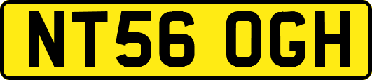 NT56OGH