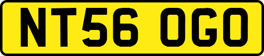 NT56OGO