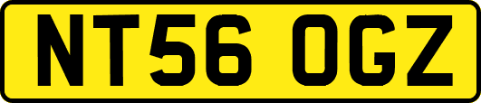 NT56OGZ