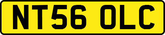 NT56OLC