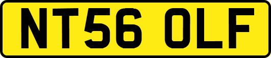 NT56OLF