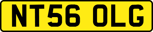 NT56OLG