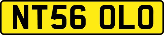 NT56OLO