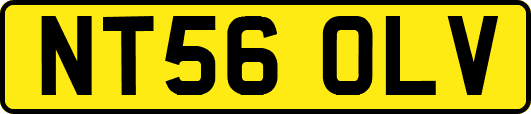 NT56OLV