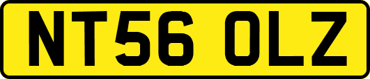 NT56OLZ