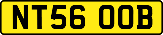 NT56OOB