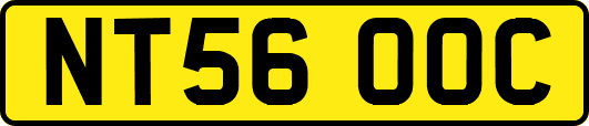 NT56OOC