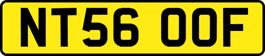 NT56OOF