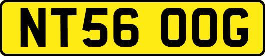 NT56OOG