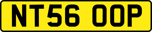 NT56OOP