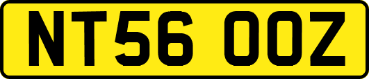 NT56OOZ