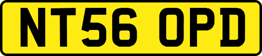 NT56OPD