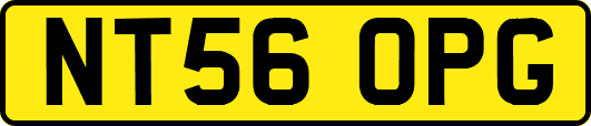 NT56OPG