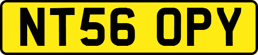 NT56OPY