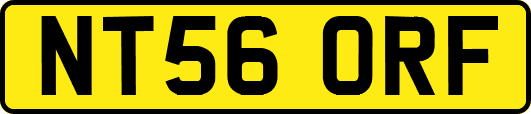 NT56ORF