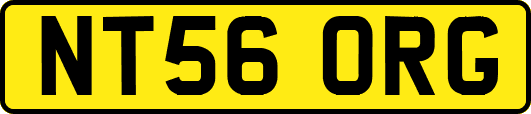 NT56ORG
