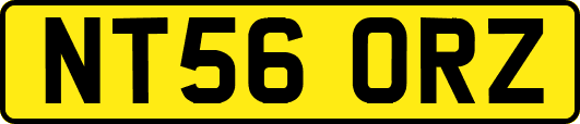 NT56ORZ