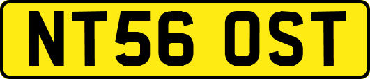 NT56OST