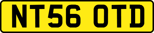 NT56OTD