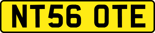 NT56OTE