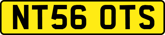 NT56OTS
