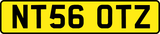 NT56OTZ