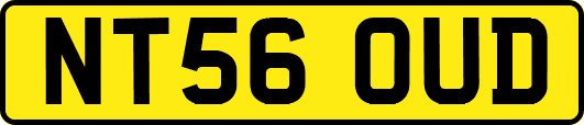 NT56OUD