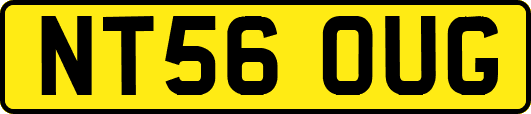 NT56OUG