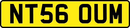 NT56OUM
