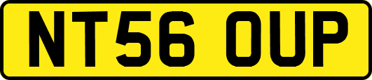 NT56OUP