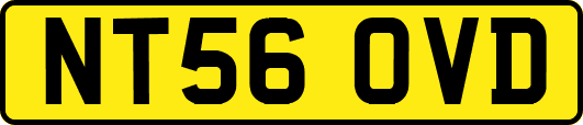 NT56OVD