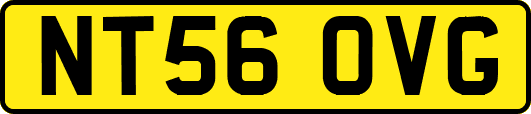 NT56OVG